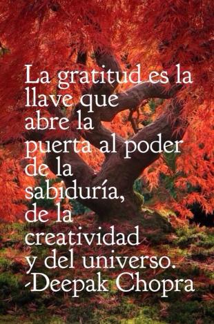 Gratitud
