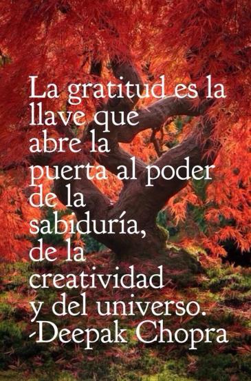 Gratitud