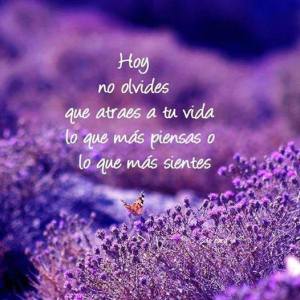 atraes lo que piensas